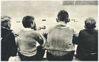 oz362374.jpg
