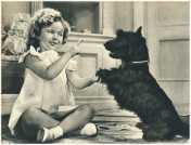 oz362384.jpg