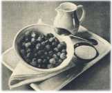 oz362392.jpg