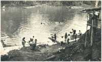 oz362414.jpg