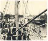 oz362465.jpg