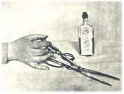 oz362477.jpg