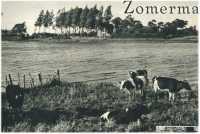 oz362508.jpg