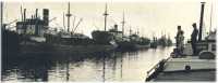 oz362516.jpg