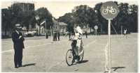 oz362530.jpg