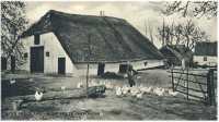 oz362554.jpg