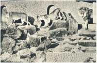 oz362559.jpg