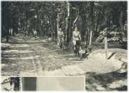 oz362641.jpg