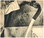 oz362674.jpg