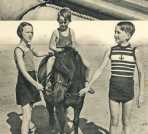 oz362720.jpg