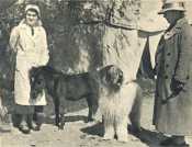 oz362738.jpg