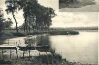 oz362748.jpg