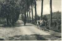 oz362749.jpg