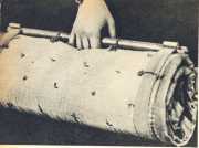 oz362798.jpg