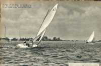 oz362802.jpg