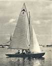 oz362804.jpg