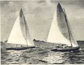 oz362806.jpg