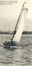 oz362807.jpg