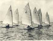 oz362808.jpg