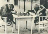 oz362837.jpg