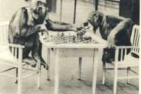 oz362839.jpg