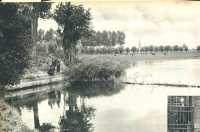 oz362844.jpg