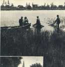 oz362849.jpg