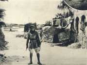oz362883.jpg