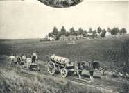 oz362942.jpg