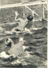 oz362951.jpg