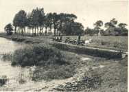 oz362965.jpg
