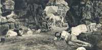 oz362984.jpg