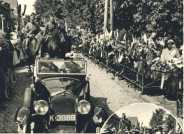 oz363056.jpg