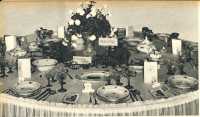 oz363073.jpg