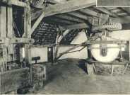 oz363107.jpg
