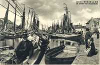 oz363108.jpg