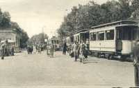 oz363120.jpg