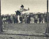 oz363141.jpg