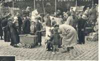 oz363167.jpg