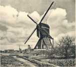 oz363216.jpg