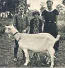 oz363228.jpg