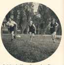 oz363233.jpg