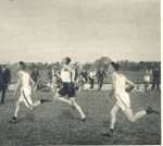 oz363235.jpg