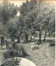 oz363237.jpg