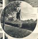 oz363238.jpg