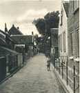 oz363239.jpg