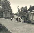 oz363242.jpg