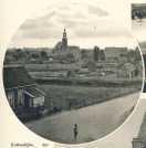 oz363243.jpg