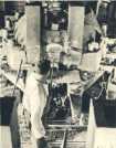 oz363313.jpg