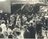 oz363329.jpg